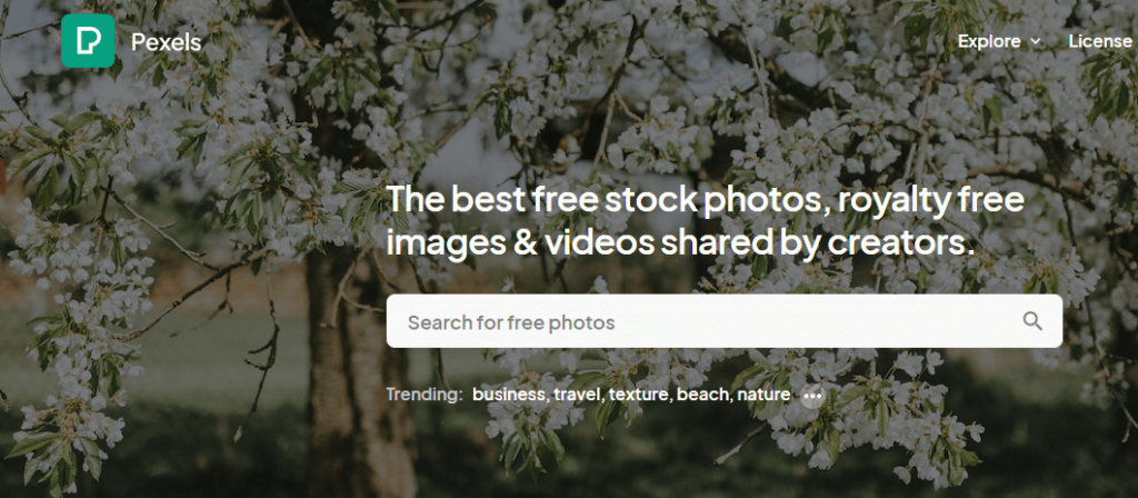 snapshot of Pexels.com homepage