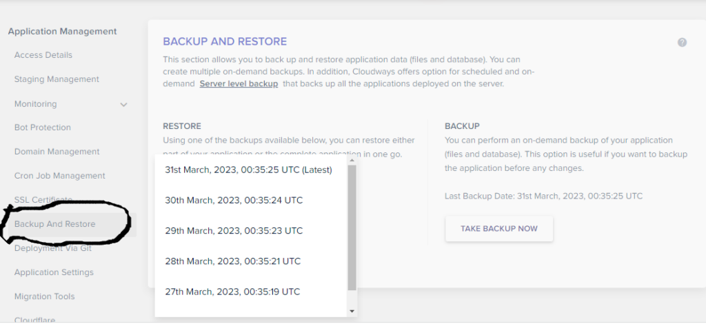 Automatic backups on Cloudways